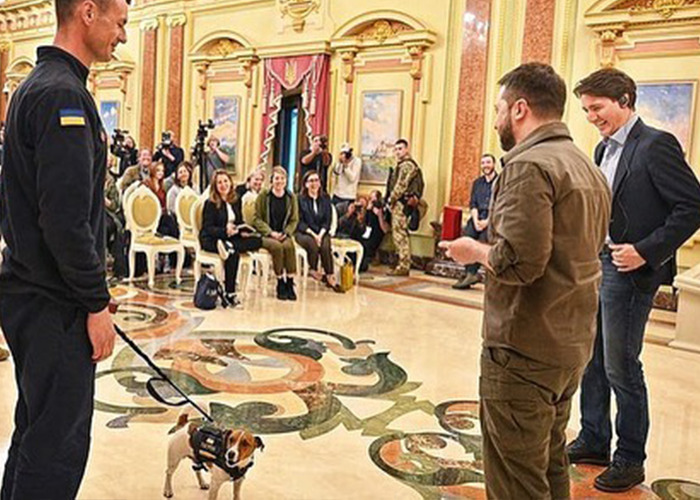 Hero Pup Patron Awarded Medal By Ukrainian President Zelensky For Sniffing Out Over 250 Bombs And Munitions
