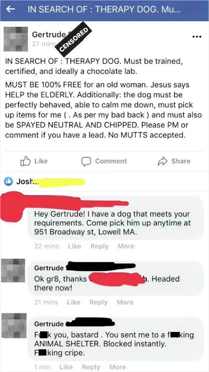 Old Lady Demands Free Therapy Dog