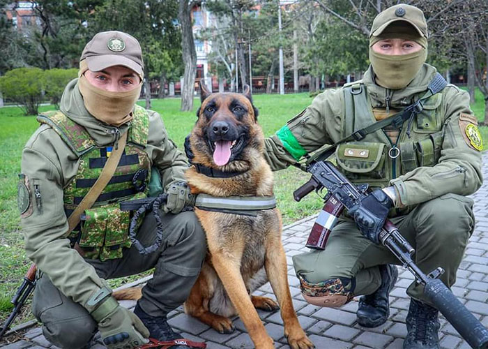 Dog abandoned by Russian troops found new owners in the Ukrainian army
