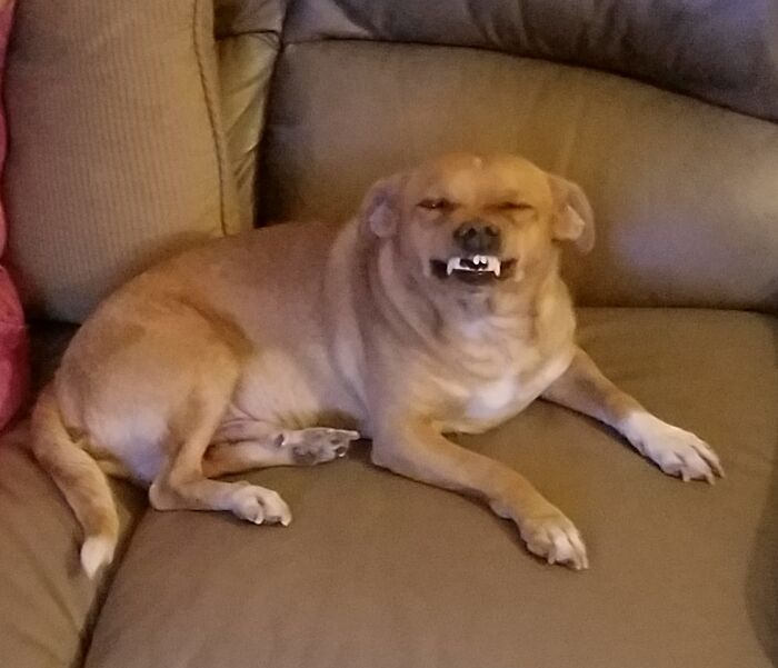 Rocky Balboa Just Being, Well, Rocky Balboa!