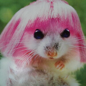 selenebutcher avatar