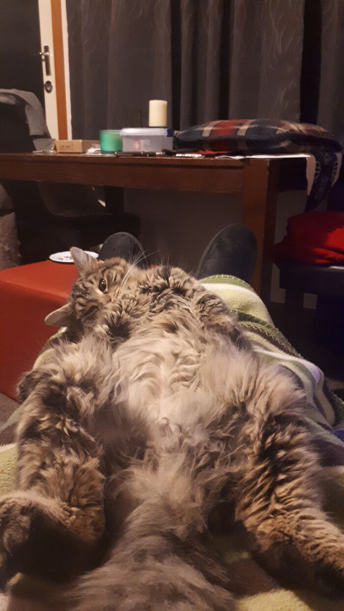 Don't Like The View? Then Don't Look, I Ain't Moving!!