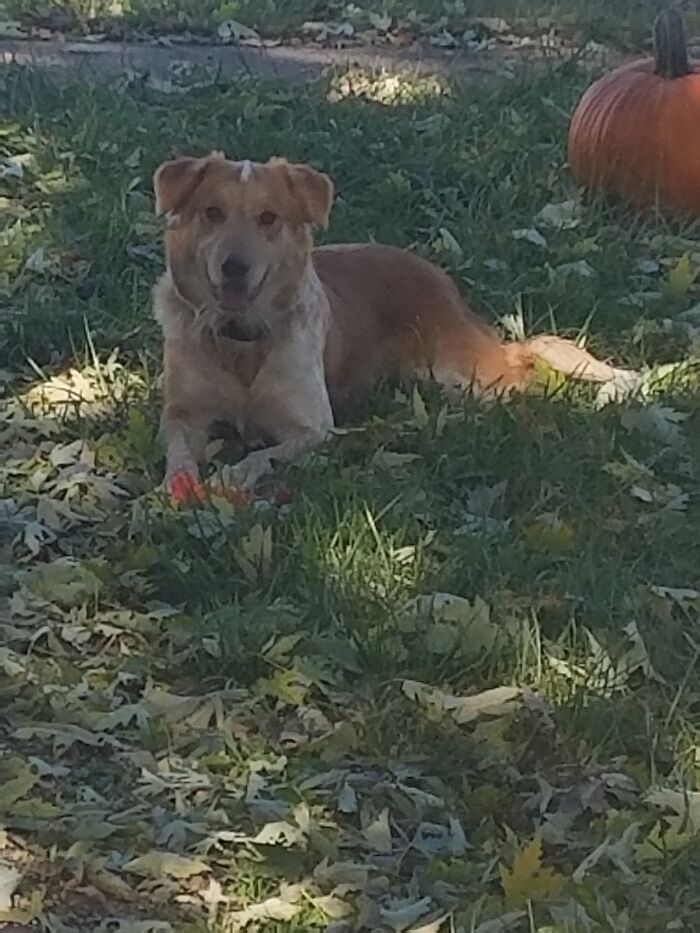 She Loves The Fall