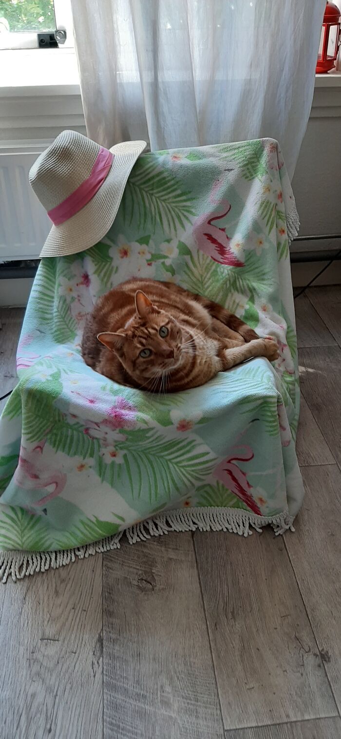You Are Wrong, This Is My Chair