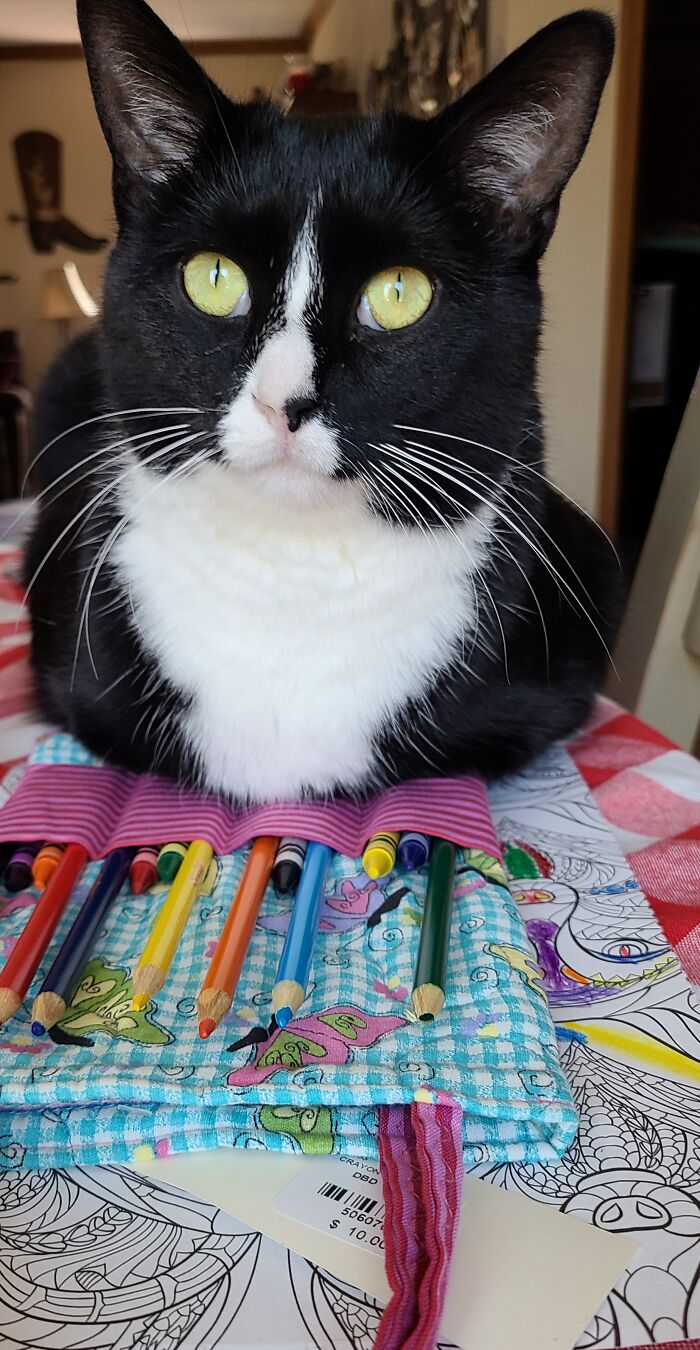 Seemo, The Loafing Artist