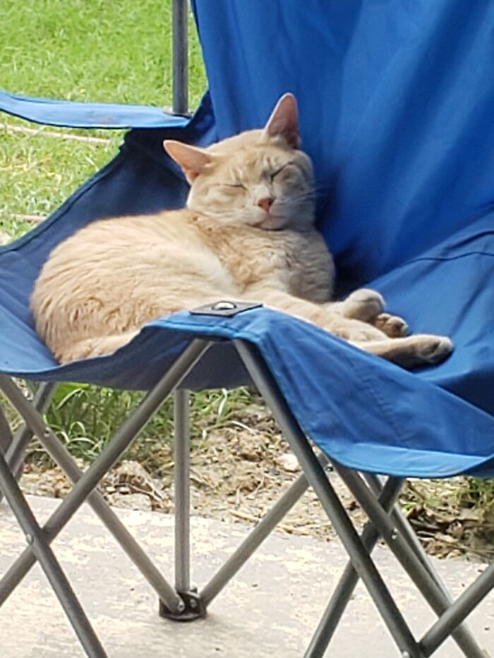 I Was Getting A Picture Of Our Foldable Bench Chair For Someone And Could Help But Snap A Second!
