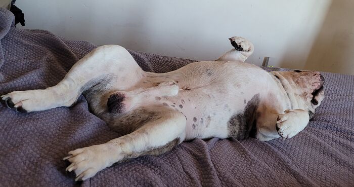 Sorry For The View...