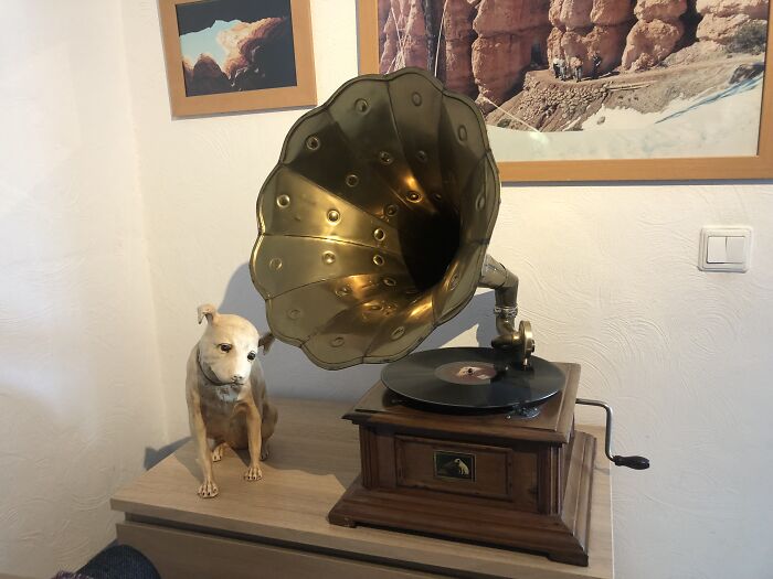 My Vintage Gramophone With "His Master Voice" - Dog Statue. "Why Do You Have The Weird Dog Next To It?" -Sigh-