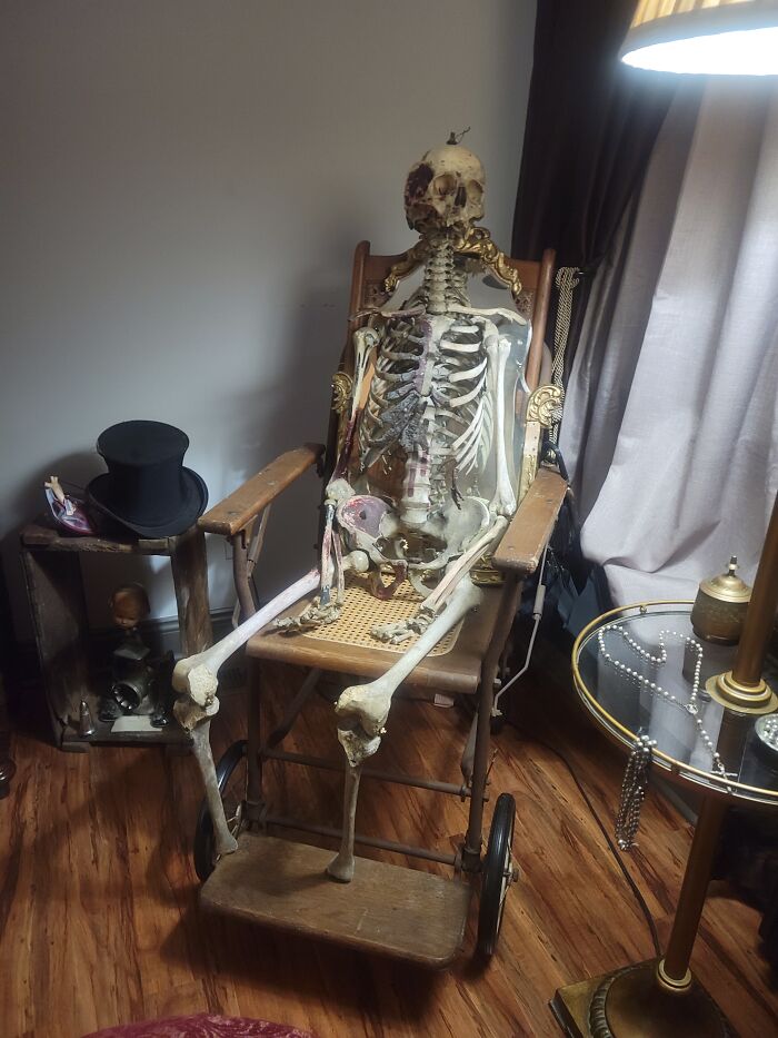 Meet Lucy. A Medical Teaching Aid From The Late 1800's.