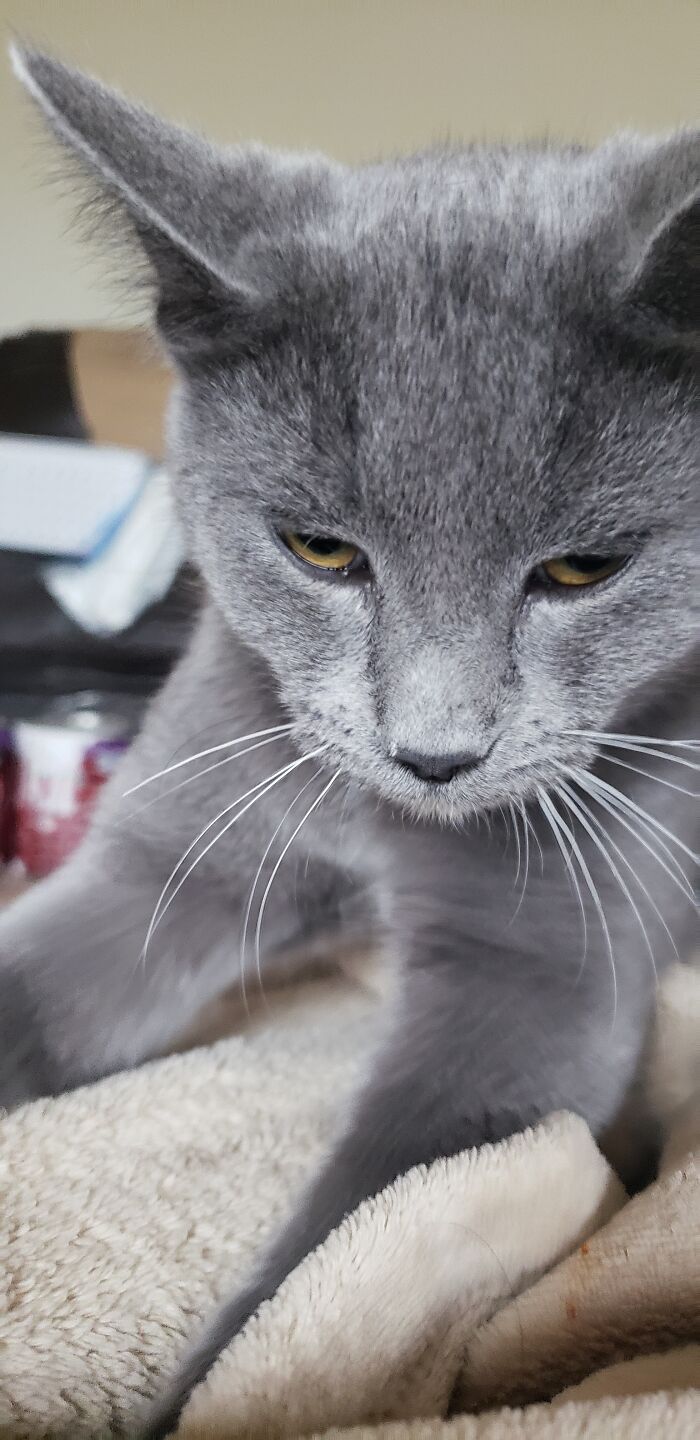 Woke Up To This At My Face While Visiting My Uncle And Grandma!