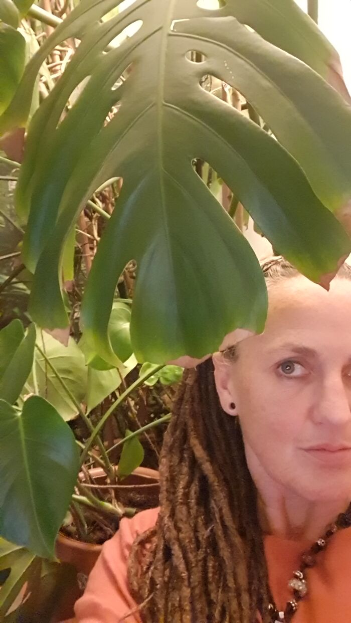 My Monstera And Me- Together For 25+ Years