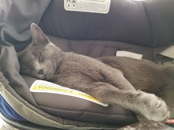 Princess Kissy-Face Has Claimed My Son's Carseat