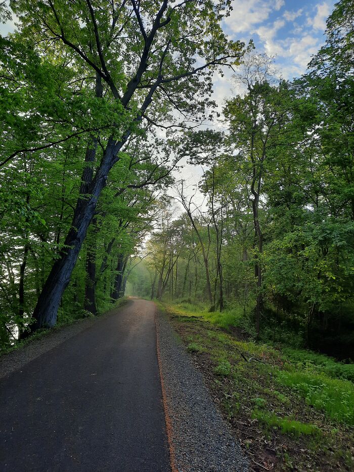 Early Morning Walks.