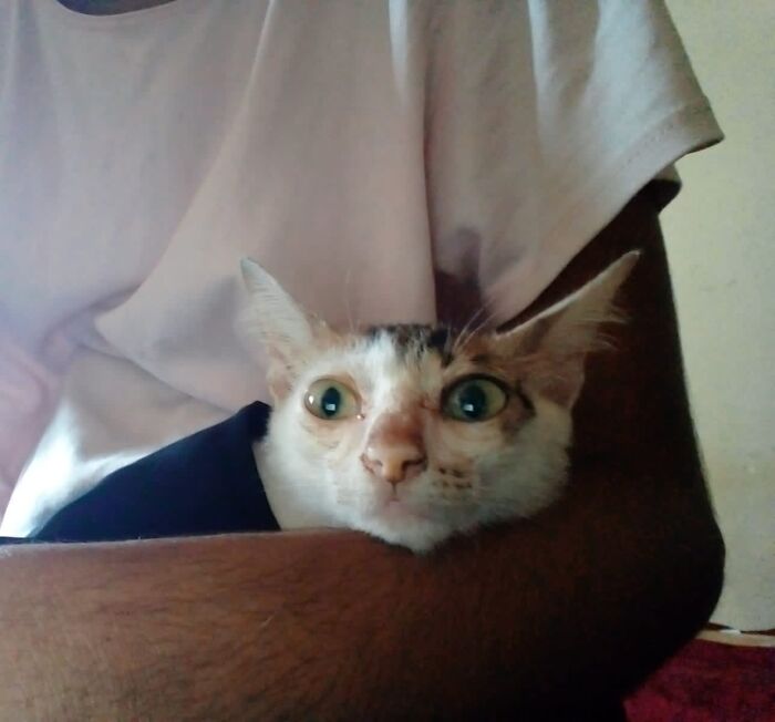 While Watching His 1st Horror Movie