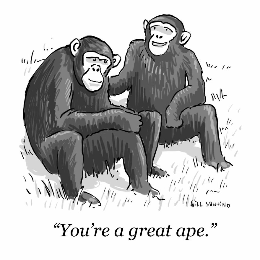 62 New Comics That Are Full Of Silly Humor And Absurd Situations By Will Santino