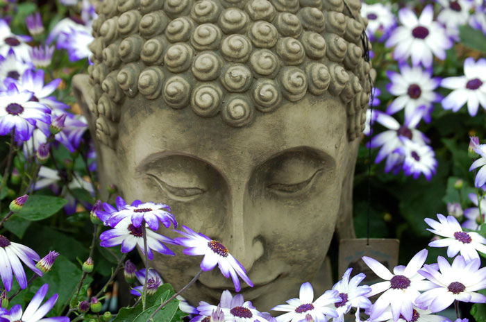 Buda tiene caracoles protegiendo su cabeza para poder meditar bajo el sol 