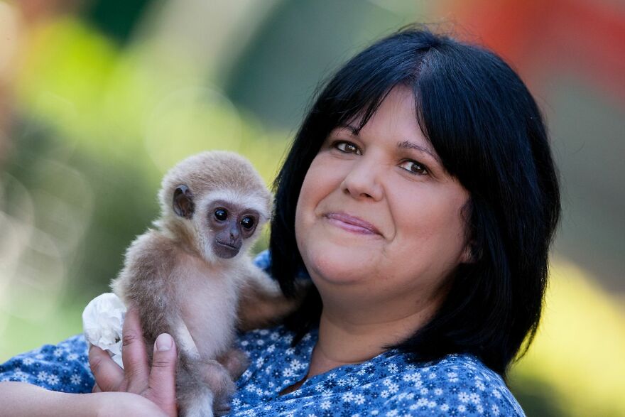 A Drama With A Happy Ending At The Skopje Zoo A Drama With A Happy Ending At The Skopje Zoo