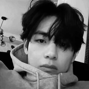 wendyschulpen avatar