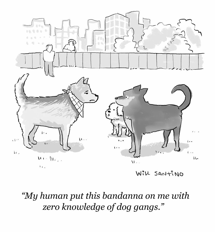 62 New Comics That Are Full Of Silly Humor And Absurd Situations By Will Santino