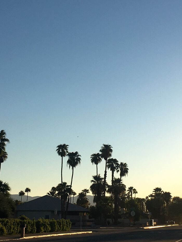 New Pictures That I Took (37 Pics)