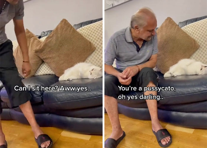 Dad Who Dislikes Cats Became Obsessed With The One His Son Brought Home, Now They’re Inseparable Dad Who Dislikes Cats Became Obsessed With The One His Son Brought Home, Now They’re Inseparable