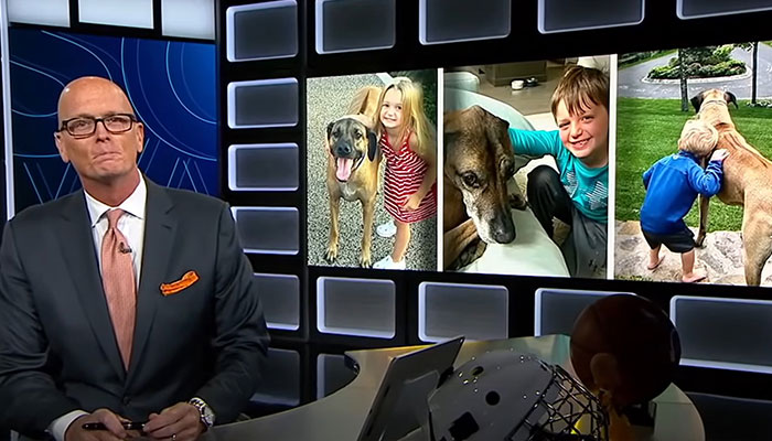 Heartfelt Tribute To Family Dog Who’d Passed Away Has Touched Thousands Heartfelt Tribute To Family Dog Who’d Passed Away Has Touched Thousands