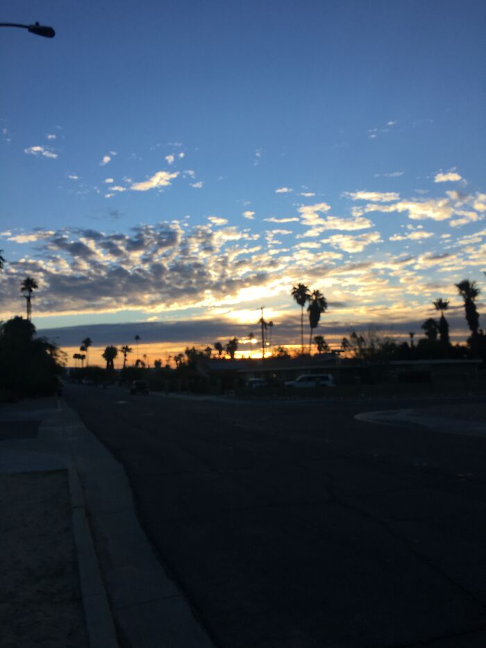 New Pictures That I Took (37 Pics)