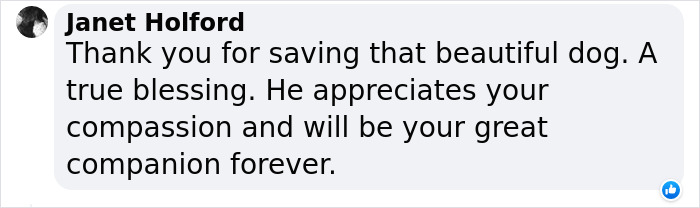Dog Abandoned By Russian Troops Finds New Owners Within The Ukrainian Army Dog Abandoned By Russian Troops Finds New Owners Within The Ukrainian Army