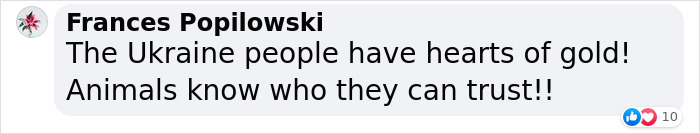 Dog Abandoned By Russian Troops Finds New Owners Within The Ukrainian Army Dog Abandoned By Russian Troops Finds New Owners Within The Ukrainian Army