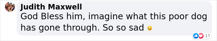 Dog Abandoned By Russian Troops Finds New Owners Within The Ukrainian Army Dog Abandoned By Russian Troops Finds New Owners Within The Ukrainian Army