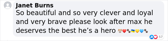 Dog Abandoned By Russian Troops Finds New Owners Within The Ukrainian Army Dog Abandoned By Russian Troops Finds New Owners Within The Ukrainian Army