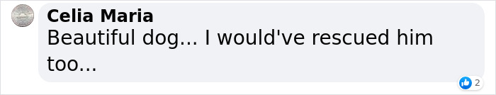 Dog Abandoned By Russian Troops Finds New Owners Within The Ukrainian Army Dog Abandoned By Russian Troops Finds New Owners Within The Ukrainian Army