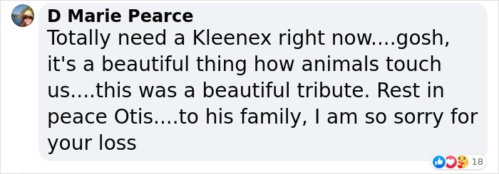 Heartfelt Tribute To Family Dog Who’d Passed Away Has Touched Thousands Heartfelt Tribute To Family Dog Who’d Passed Away Has Touched Thousands