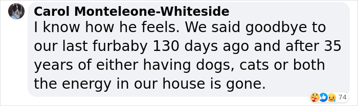 Heartfelt Tribute To Family Dog Who’d Passed Away Has Touched Thousands Heartfelt Tribute To Family Dog Who’d Passed Away Has Touched Thousands