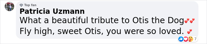 Heartfelt Tribute To Family Dog Who’d Passed Away Has Touched Thousands Heartfelt Tribute To Family Dog Who’d Passed Away Has Touched Thousands