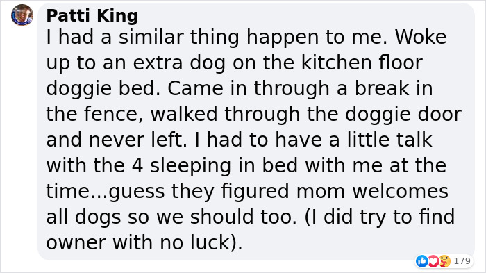 Married Couple Wake Up To Find A Mystery Dog Sleeping In Their Bed
