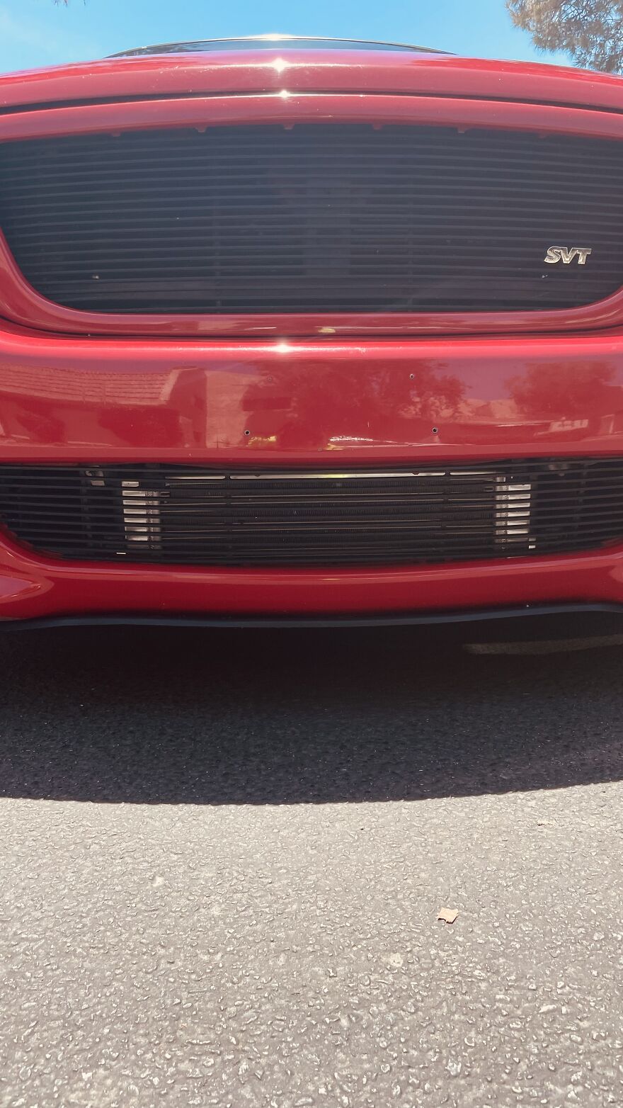 Here Are My First Published Images (40 Pics)