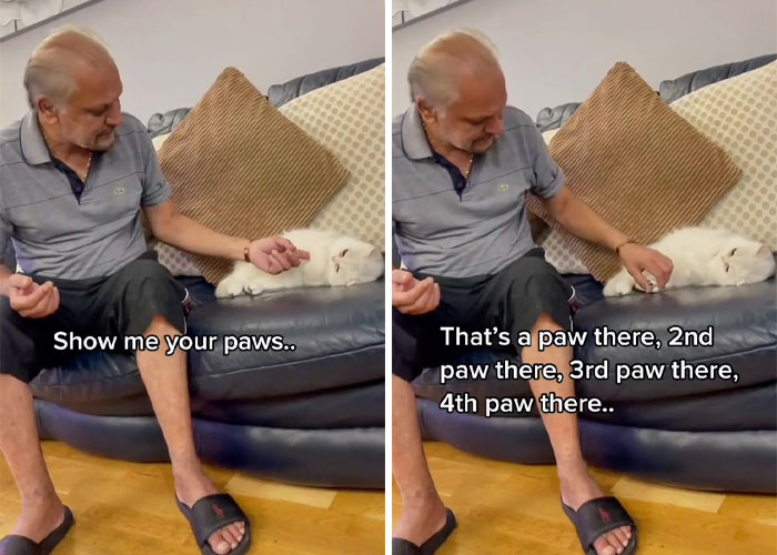 Dad Who Dislikes Cats Became Obsessed With The One His Son Brought Home, Now They’re Inseparable