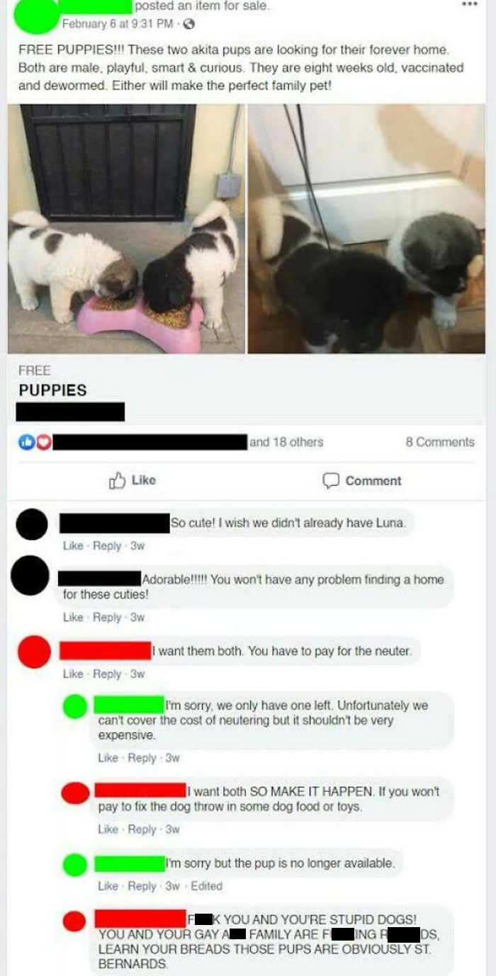 This Lady Demands The Neutering Of Two Free Puppies, Then Freaks Out And Claims That The Poster Doesn’t Know Anything About “Dog Breads”
