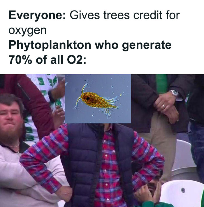I Mean Trees Are Important And All But Give Some Credit To The Literal Little Guys
