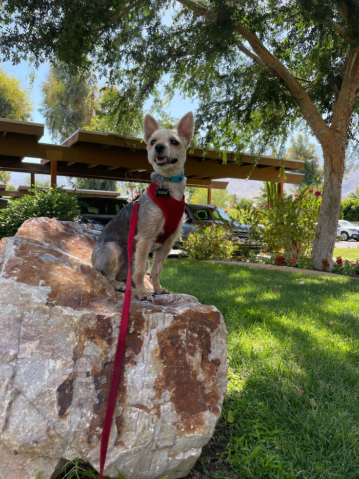 New Pictures That I Took (37 Pics)