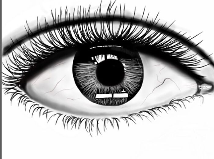 Drew This On My iPad