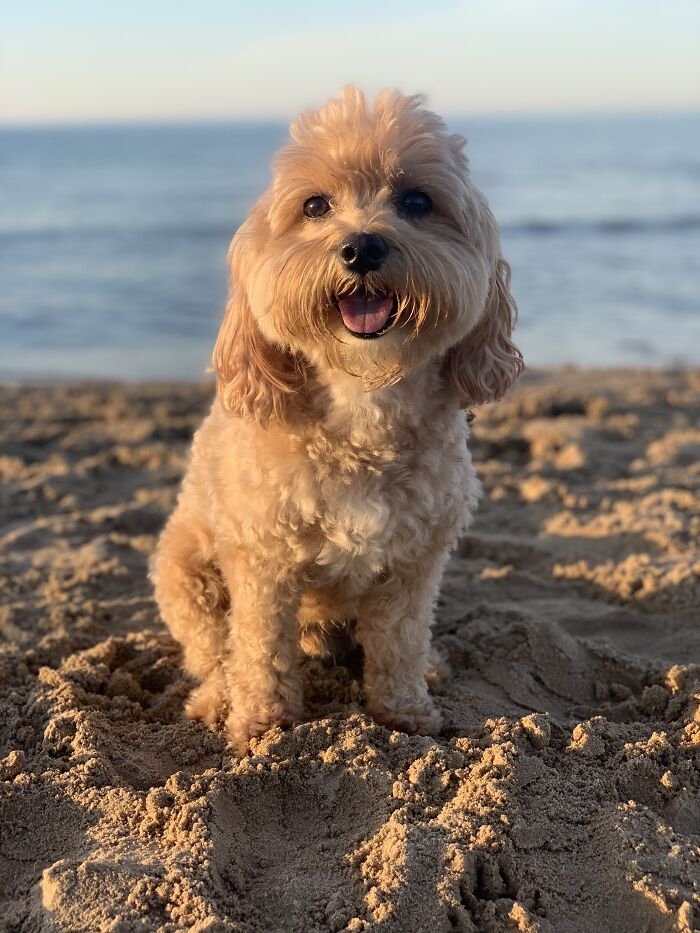 Beach Days With This Bum!