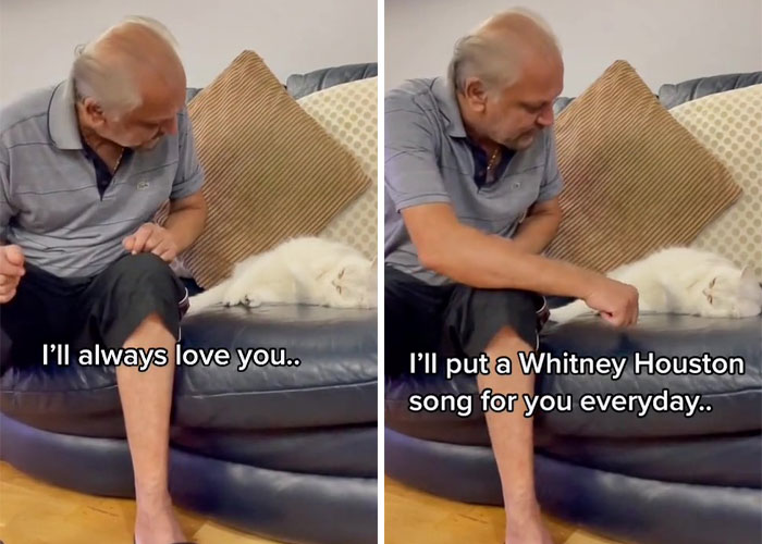 Dad Who Dislikes Cats Became Obsessed With The One His Son Brought Home, Now They’re Inseparable Dad Who Dislikes Cats Became Obsessed With The One His Son Brought Home, Now They’re Inseparable