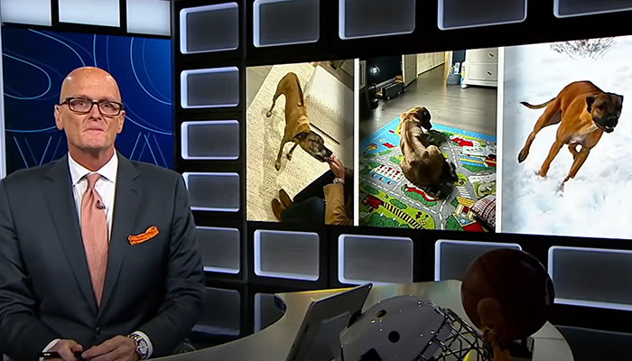 Heartfelt Tribute To Family Dog Who’d Passed Away Has Touched Thousands Heartfelt Tribute To Family Dog Who’d Passed Away Has Touched Thousands