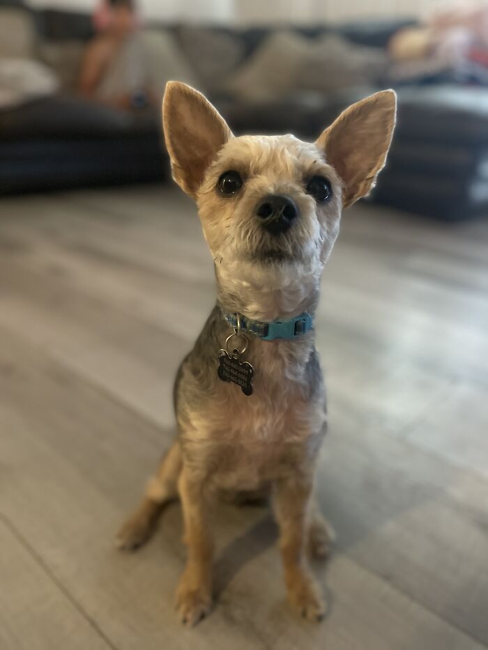 New Pictures That I Took (37 Pics)