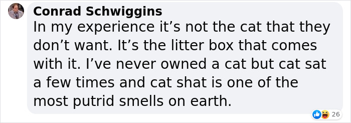 Dad Who Dislikes Cats Became Obsessed With The One His Son Brought Home, Now They’re Inseparable Dad Who Dislikes Cats Became Obsessed With The One His Son Brought Home, Now They’re Inseparable