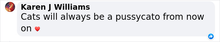 Dad Who Dislikes Cats Became Obsessed With The One His Son Brought Home, Now They’re Inseparable Dad Who Dislikes Cats Became Obsessed With The One His Son Brought Home, Now They’re Inseparable