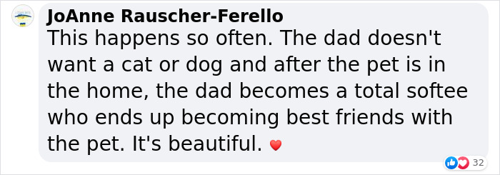 Dad Who Dislikes Cats Became Obsessed With The One His Son Brought Home, Now They’re Inseparable Dad Who Dislikes Cats Became Obsessed With The One His Son Brought Home, Now They’re Inseparable