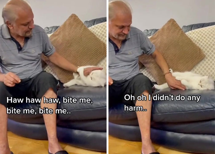 Dad Who Dislikes Cats Became Obsessed With The One His Son Brought Home, Now They’re Inseparable Dad Who Dislikes Cats Became Obsessed With The One His Son Brought Home, Now They’re Inseparable